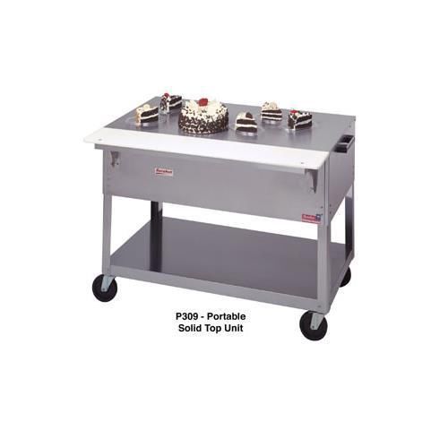 Duke P310 Aerohot Steamtable Portable Solid Top Unit