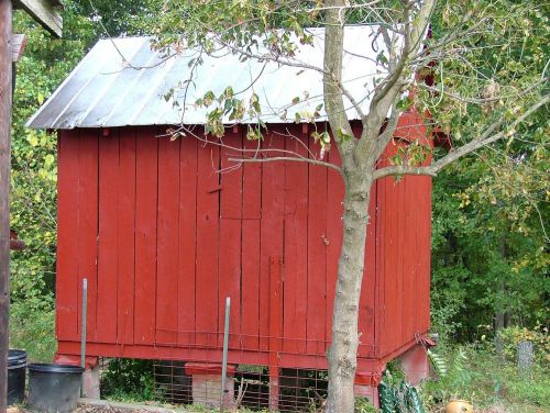 VINTAGE WHITE OAK   &#034;SIDING&#034; !!  SIDING IS IN  EXCELLENT CONDITION