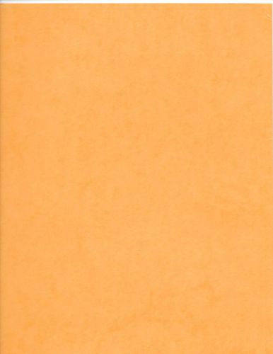 File folders-12 orange +3 brown straight across top 81/2 X 11