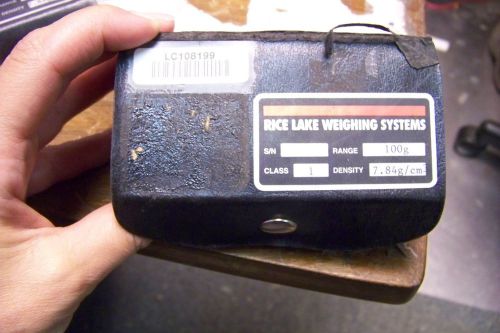 rice lake 100 gram class 1 test weight