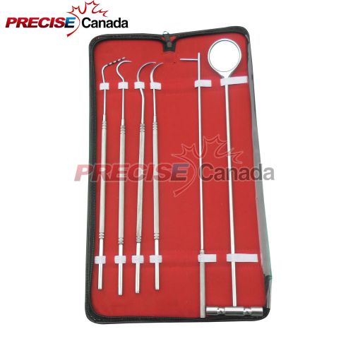 PRECISE CANADA: 6 PCS EQUINE DENTAL PICK PROBE SCALERS VETERINARY INSTRUMENTS