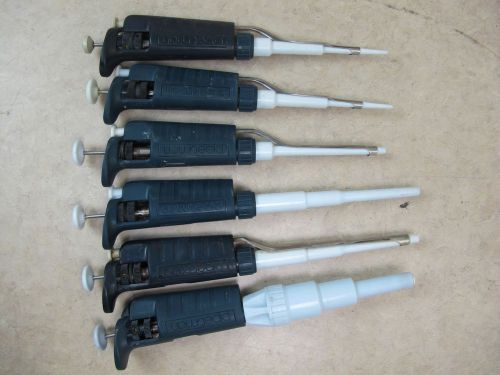 Set of 6 gilson pipetman pipette p?,p20,p200,p1000 (x2), p5000 for sale