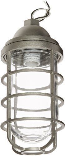 RAB Lighting VP200DG Vaporproof VP Ceiling Pendant Mount with Glass Globe and Ca