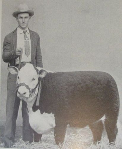 1942 Cattle Ranching Book; Types and Market Classes of LiveStock