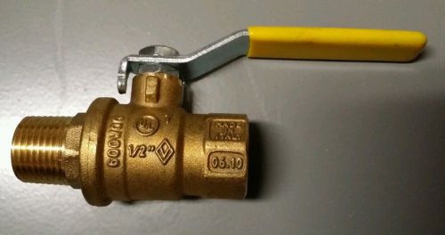 NEW PLASTIC PROCESS EQUIPMENT 1/2&#034; BRASS BALL VALVE  MODEL 948103PP