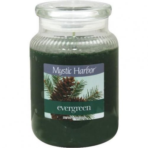 LRG EVERGREEN CANDLE 1125926