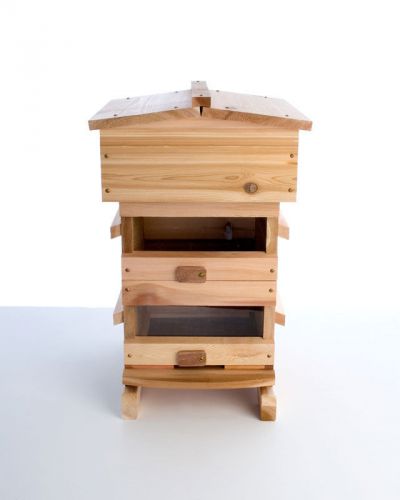 Warre Hive