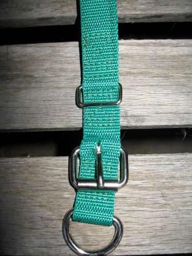 Calf Collar Dairy Calf Collar 1&#034; x 32&#034;  Green