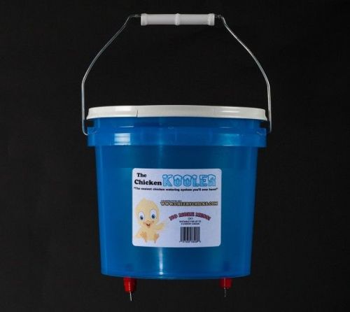 Cheery chicks chicken kooler waterer small flocks easy maintenance 1 gallon for sale