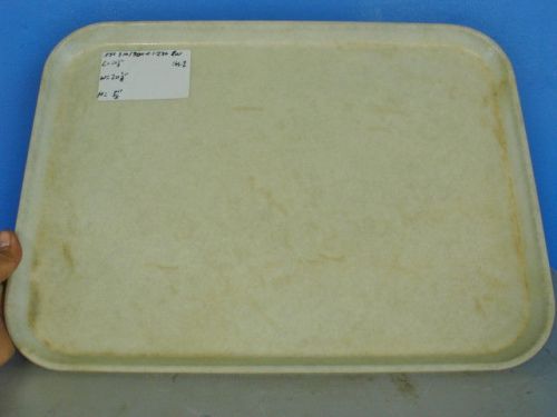 15&#034; x 20-1/4&#034; Fiberglass Cafeteria Tray