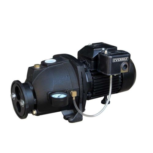 Everbilt 3/4 hp convertible jet pump model #dp370c for sale