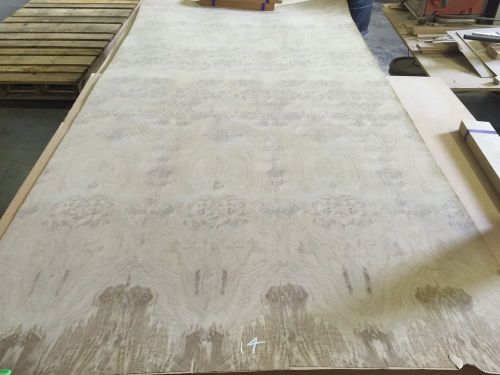 Wood veneer oak burl 48x96 1 piece 20mil paper backed &#034;exotic&#034; box corn 0910 #14 for sale