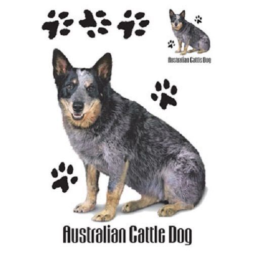 Australian cattle dog heat press transfer print for t shirt tote sweatshirt 803b for sale