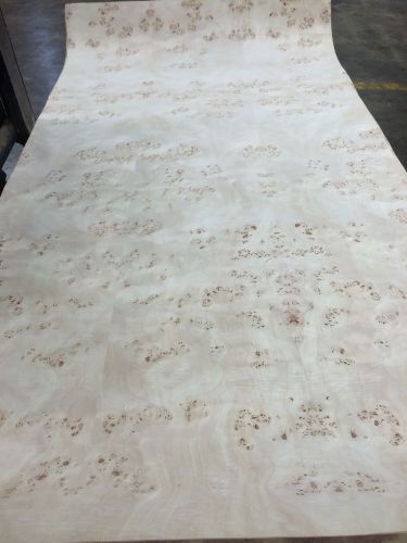 Wood Veneer Mappa Burl 49x98 1pcs total 10mil Paper Backed &#034;EXOTIC&#034; 0856.4