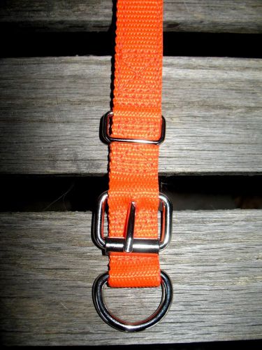 Calf Collar  Dairy Calf Collar 1&#034; x 32&#034; Orange