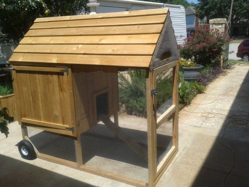 Custom Built Chicken Coop