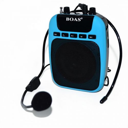 Loud Teacher Portable Voice Amplifier Booster Microphone for FM USB Power Memory