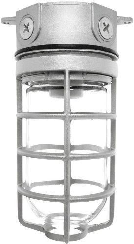 RAB Lighting VX100DG Vaporproof VX 4&#034; Ceiling Box Mount with Glass Globe and