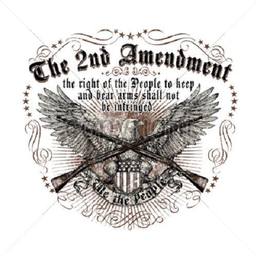 2nd Amendment Costitution HEAT PRESS TRANSFER for T Shirt Sweatshirt Tote  739q