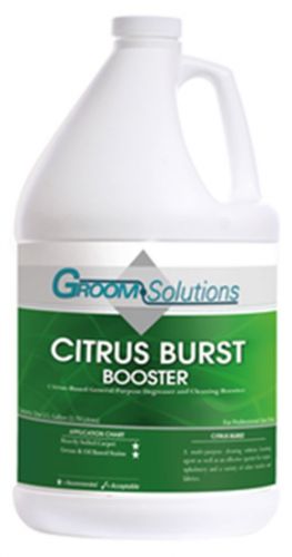 Citrus Burst - Booster