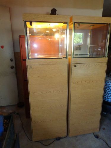 Wood and Glass Lighted Display Case with Storage