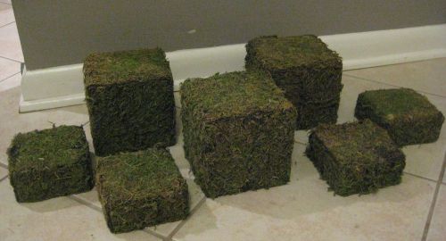 Lot 117 ~ 7 piece natural green moss retail jewelry display risers levels for sale