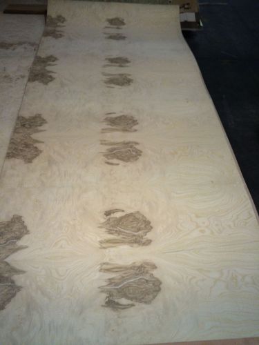 Wood veneer olive ash burl 33x78 1pcs total 10mil paper backed  &#034;exotic&#034;0854.5 for sale