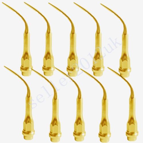 10 Pcs Dental Multifuction Scaling Ultrasonic Scaler GC1T Same as KAVO NO#10 Tip