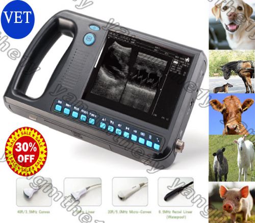 SALE!VET Palm Smart B-ultrasound ultrasound Scanner System + 6.5MHZ reccal probe