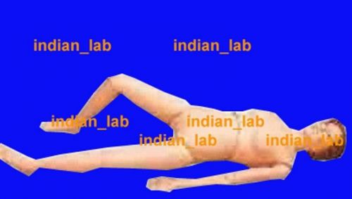 Multi Functional Nursing Manikin FEMALE EXCELLENT QUALITY INDIAN_LAB MFNM0786D