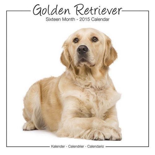 New 2015 golden retrievers wall calendar by avonside- free priority shipping! for sale