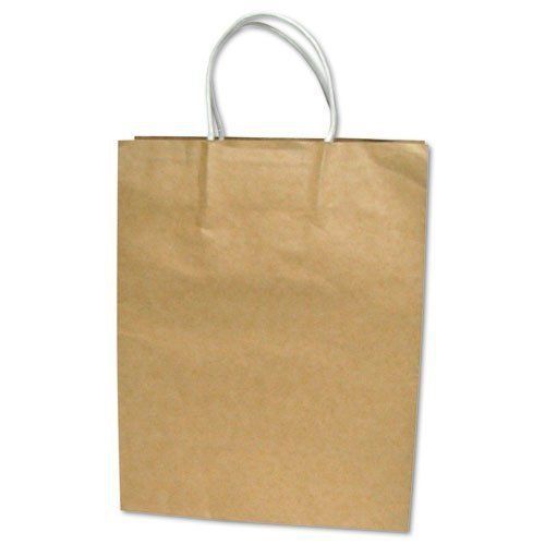 Premium Large Brown Paper Shopping Bag, 50/Box
