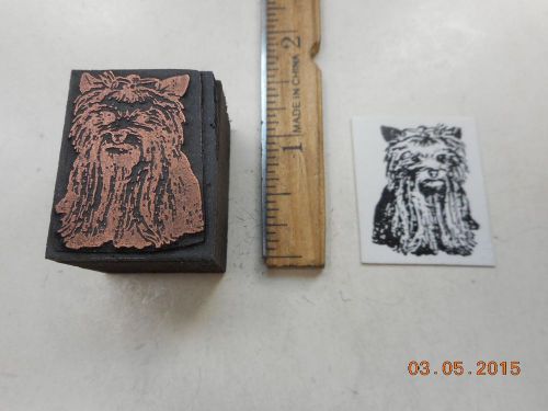 Printing Letterpress Printers Block, Lhasa Apso Dog w Bow on Head