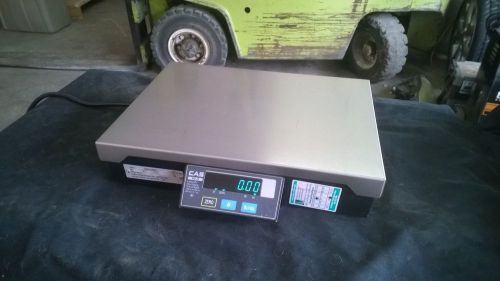 CAS PD-11 15 lb Digital Scale Deli Ice Cream Yogurt