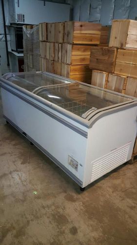 AHT Freezer Paris 210