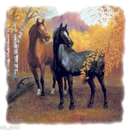 Autumn Horse HEAT PRESS TRANSFER PRINT for T Shirt Tote Sweatshirt Fabric 240a