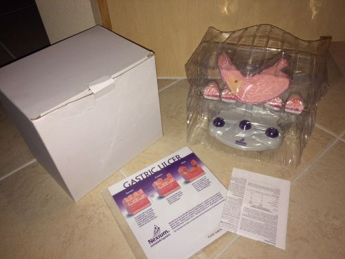 Nexium Stomach Gastric Ulcer Anatomical Model NEW IN BOX