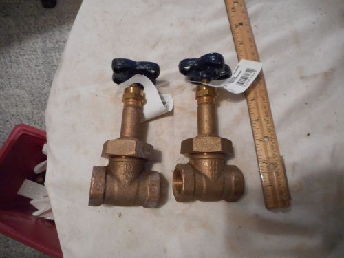 NIBCO T-134 Brass  3/4 &#039;&#039; Gate Valve 2 total new