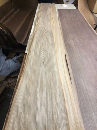 Wood ELM FLAT CUT  124X8,8,11,11 total 4 pcs RAW VENEER N674.