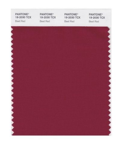 Pantone PANTONE SMART 19-2030X Color Swatch Card, Beet Red