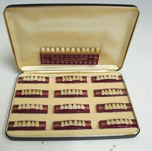13 Vintage Dentist Porcelain Trubyte Bioform Shade Selector Set w/ Orig Case yqz