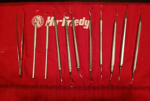 10 Hu-Friedy Dental Instruments Picks