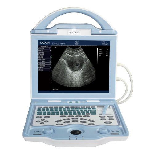 Veterinary Laptop ultrasound scanner LED screen 10.4&#034;,DICOM ,Battery,Big image