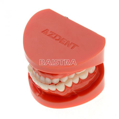 New Dental Teach Study Adult Standard Typodont Demonstration Model Teeth 7004