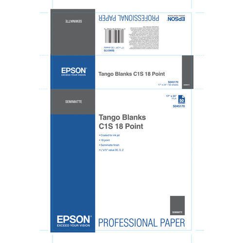 Epson S045172 Tango Advantage C1S 10 Point 44&#034; x 100&#039; Roll