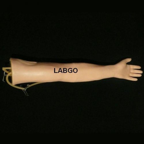 Injection Training Arm Human Anatomical Model  LABGO