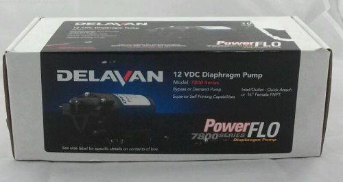 Delavan 12 VDC Diaphragm Pump 7800 series