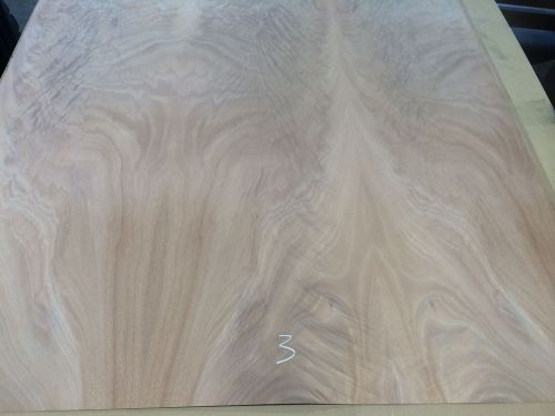 Wood veneer crotch okoume 48x48 1pcs total 20mil paper backed &#034;exotic&#034; crlm3 for sale