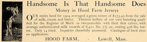 1906 ad hood farm jersey dairy cows breed lowell mass - original advertising cl8 for sale