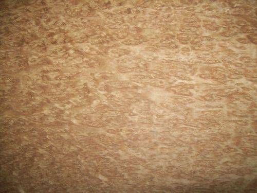 eucalyptus burl veneer 6  @  12.5 x 26 [6368